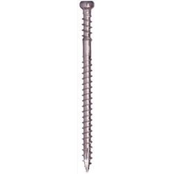 GRK Fasteners No. 8 X 2 in. L Star Climatek Coarse Trim Screws 600 pk