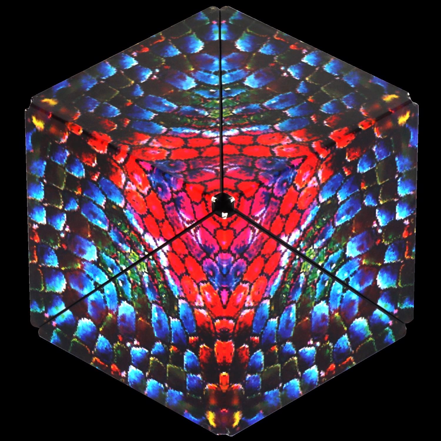 image-2