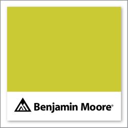 Benjamin Moore Exotic Lime 399
