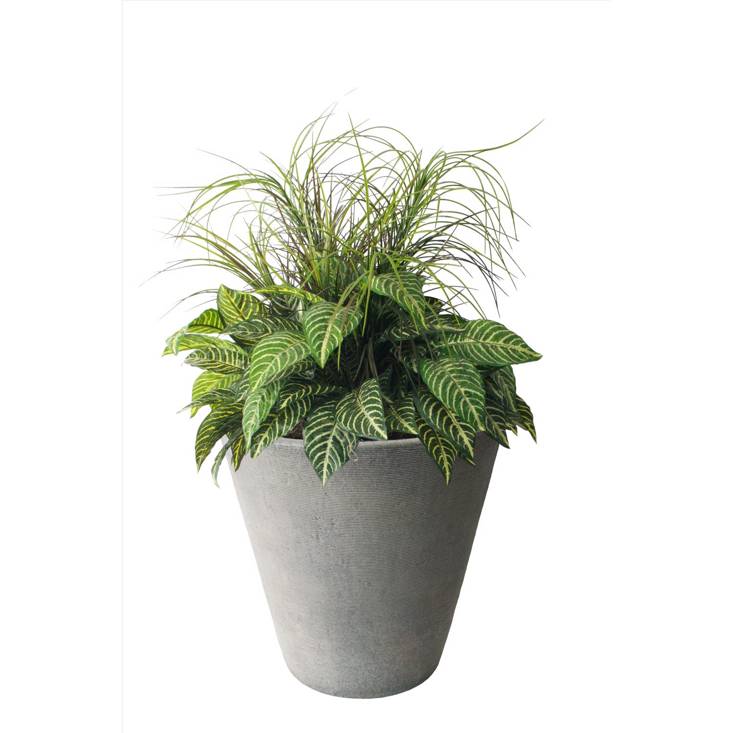 image-4