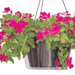 Crescent Garden 5 in. H X 10 in. D Polyethylene Hanging Basket Drip Pan Clear