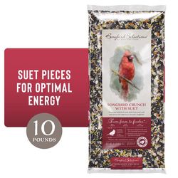 Songbird Selections Songbird Crunch Wild Bird Food 10 lb