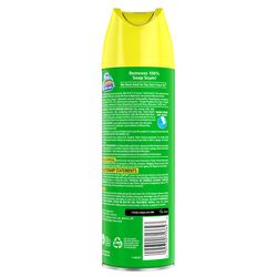 Scrubbing Bubbles Citrus Scent Bathroom Cleaner 20 oz Foam