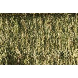 Retailer Sourced Alfalfa Hay Bale