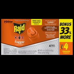 Raid Deep Reach Insect Killer Aerosol 1.5 oz