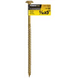 PowerPro 5/16 in. X 5 in. L Star Carbon Steel Lag Screw 1 pk