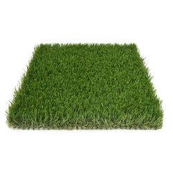 SeeGreen 5 ft. W X 7 ft. L Green Polyethylene Astroturf