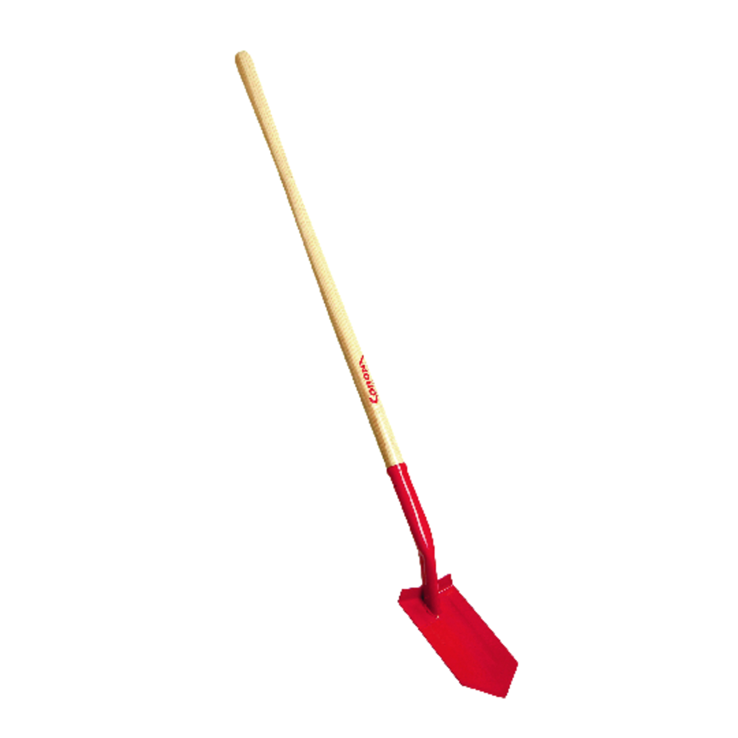 image-1