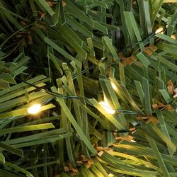 Celebrations 24 in. D LED Prelit Warm White Cascading Wreath