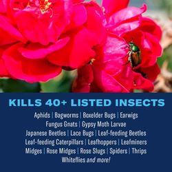 BioAdvanced Dual Action Rose and Flower Insect Killer Continuous Spray 15.7 oz