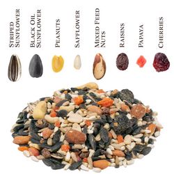 Songbird Selections Bird Seed 10 lb