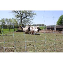 Starkline 42 in. H X 164 ft. L Metal/Polyethylene Electric Fence Blue