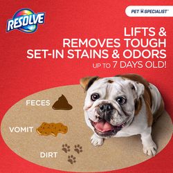 Resolve No Scent Pet Stain Carpet Cleaner 22 oz Foam