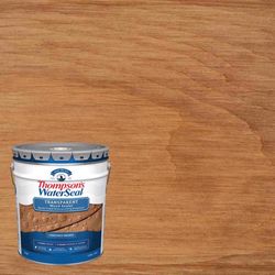 Thompson's WaterSeal Transparent Chestnut Brown Water-Based Acrylic/Alkyd/Urethane Waterproofing Woo