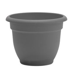 Bloem Ariana 8.5 in. H X 11 in. W X 10 in. D Plastic Traditional Planter Charcoal