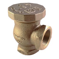 Champion 262 Anti-Siphon Valve 1 in. 150 psi