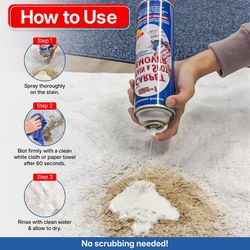 Lifter-1 No Scent Carpet Stain Remover 18 oz Liquid