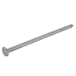 Grip-Rite 8D 2-1/2 in. Box Hot-Dipped Galvanized Steel Nail Flat Head 30 lb