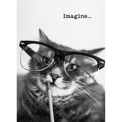 Avanti Press Seasonal Thinking Cat Graduation Card Paper 2 pc