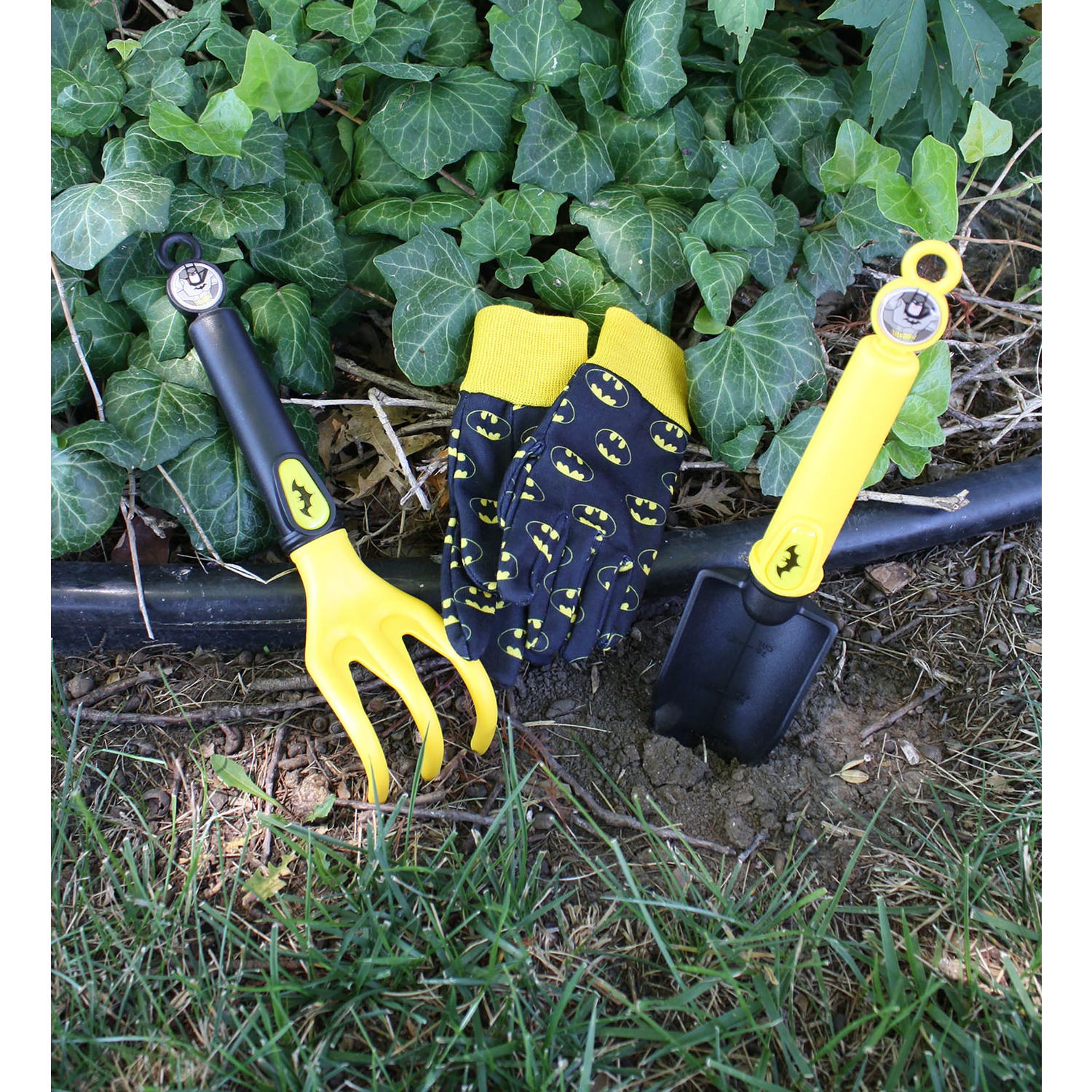 image-2