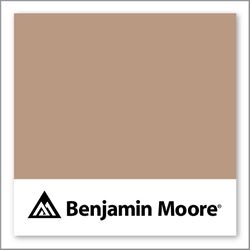 Benjamin Moore Dark Buff CSP-320