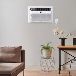 Frigidaire 10000 BTU 230 V Through-the-Wall Air Conditioner w/Remote 450 sq ft