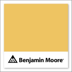 Benjamin Moore Firefly 299