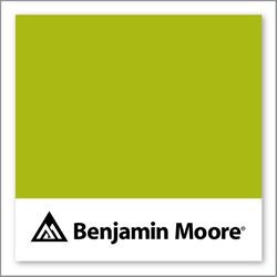 Benjamin Moore Spring Moss 2027-20