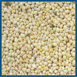 Cole's Wild Bird Food 20 lb