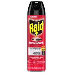 Raid Insect Killer Aerosol 17.5 oz