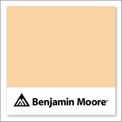 Benjamin Moore Pineapple Orange 158