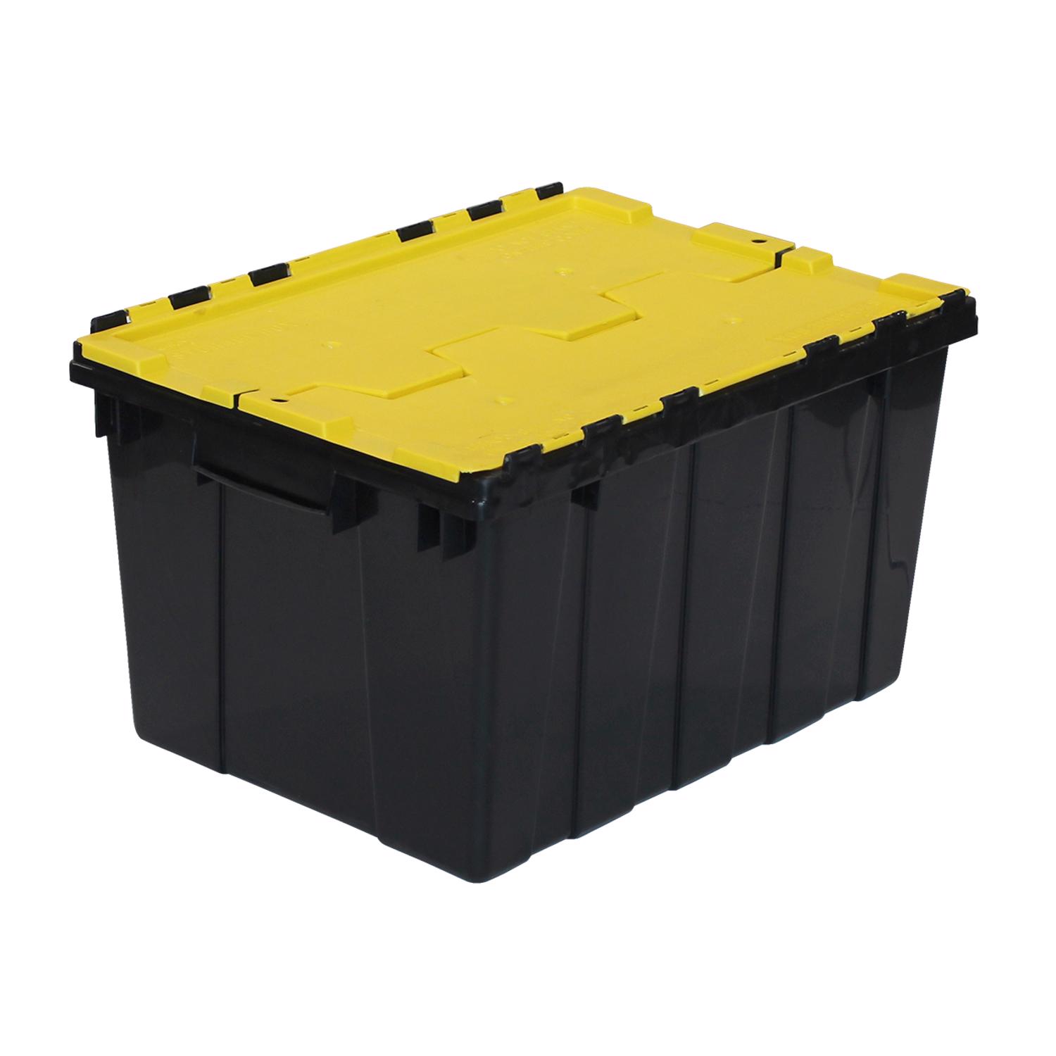 image-3