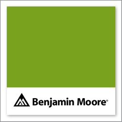 Benjamin Moore Iguana Green 2028-10