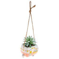 Karma 2 in. H X 2 in. L Multicolored Ceramic Hanging Succulent Pot