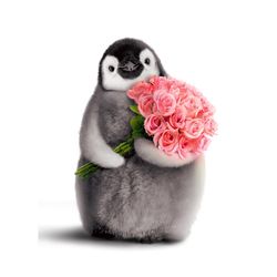 Avanti Press Seasonal Penguin with Flower Bouquet Valentine's Day Card Paper 2 pc