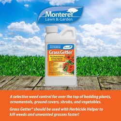 Monterey Grass Getter Bermudagrass Herbicide Concentrate 8 oz