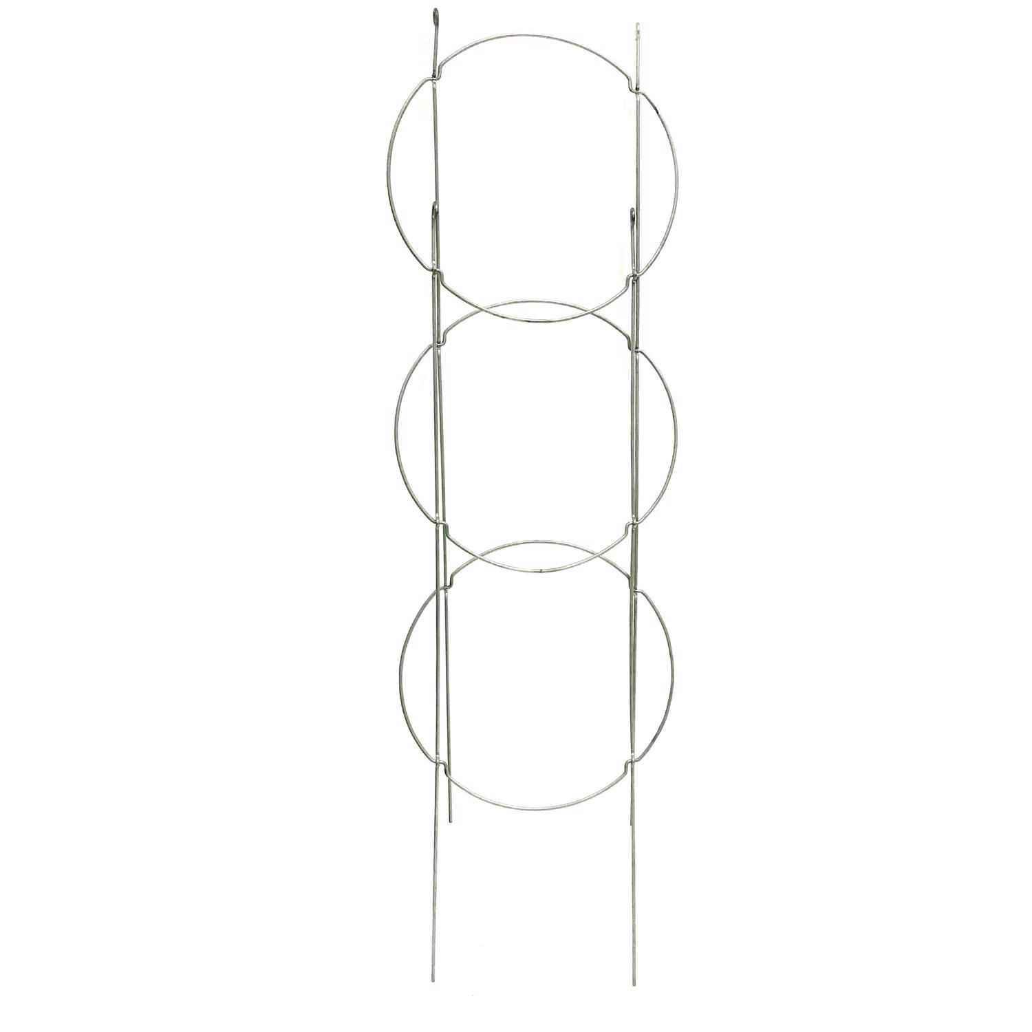 image-2