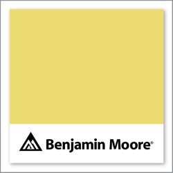 Benjamin Moore Yellow Finch 2024-40
