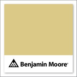 Benjamin Moore Mother Earth 376