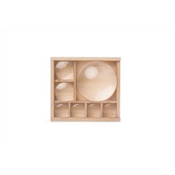 Kikkerland Huckleberry My Little Museum Toy Clear/Brown