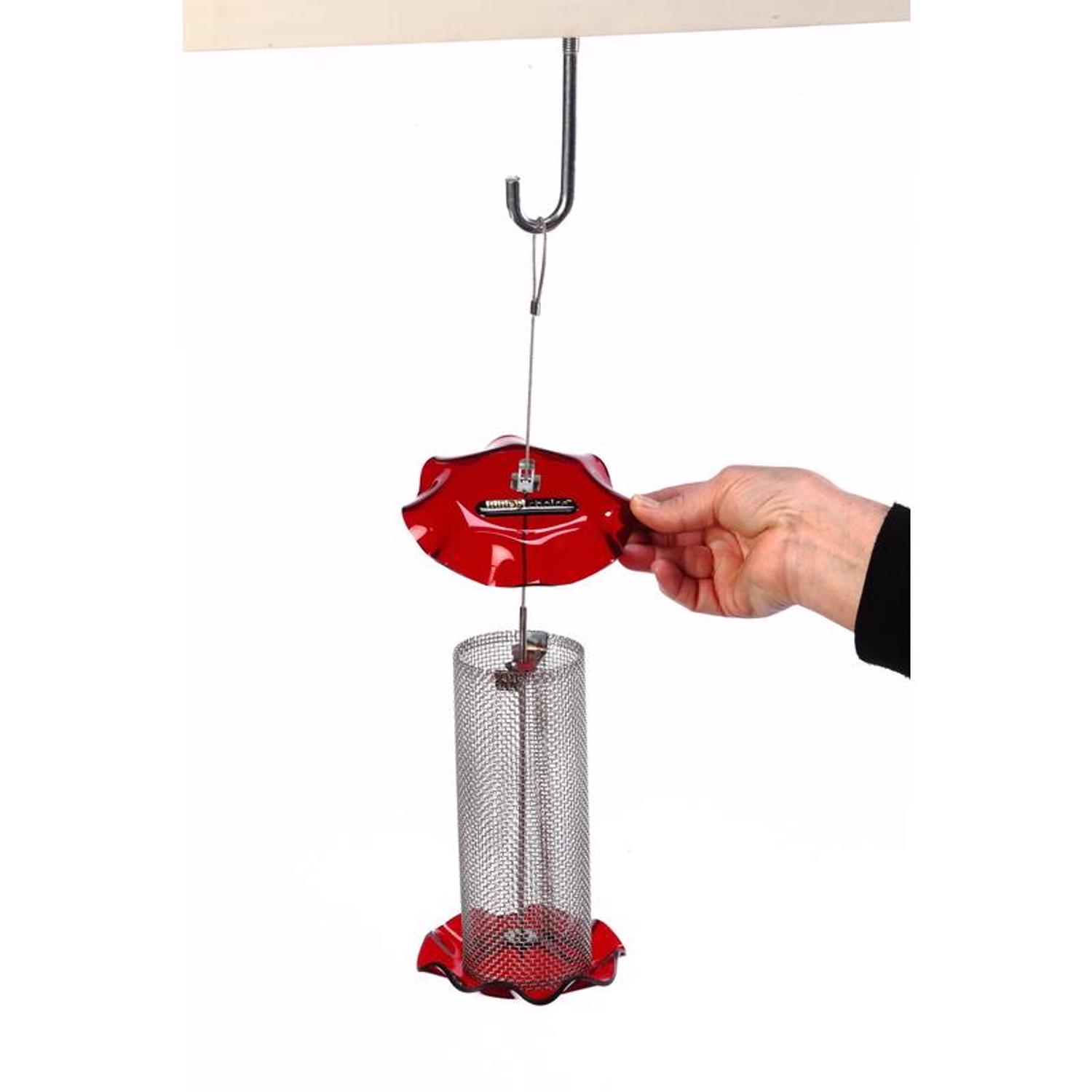 image-2