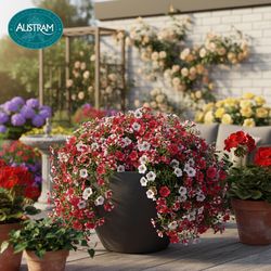 Austram Vizcaya 9 in. H X 11 in. W X 11 in. D Stone Planter Anchor Gray