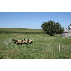 Starkline Premium 35 in. H X 164 ft. L Metal/Polyethylene Electric Netting Blue