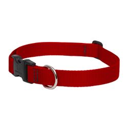 LupinePet Basic Solids Red Red Nylon Dog Adjustable Collar