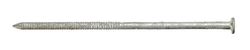 Ace 6 in. Timber Tie Hot-Dipped Galvanized Steel Nail Flat Head 5 lb