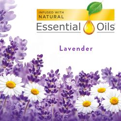 Air Wick Lavender and Chamomile Scent Air Freshener Oil Refill 3.38 oz Liquid 5 pk