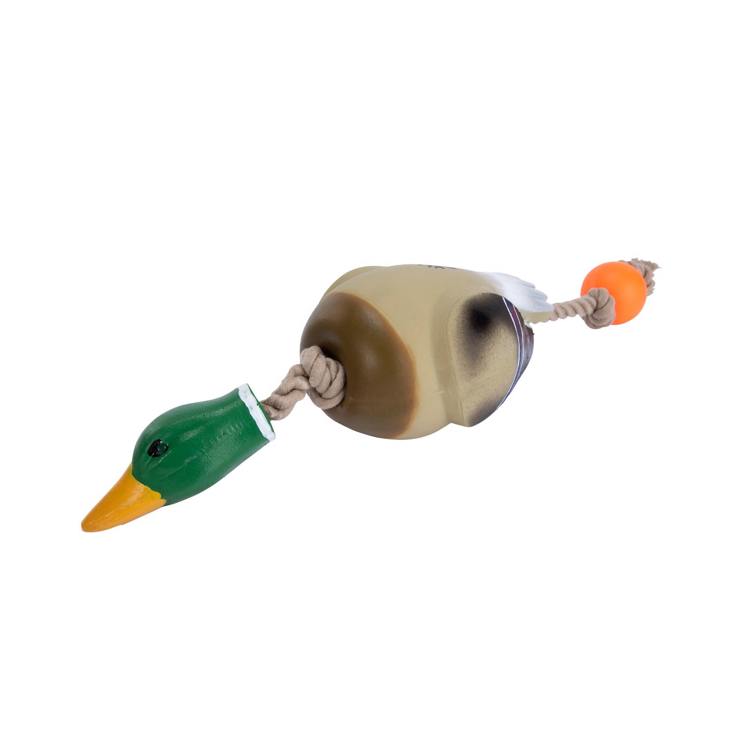 image-2