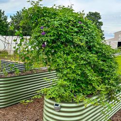 Vego Garden 32 in. H Metal 10 in 1 Raised Garden Bed Olive Green