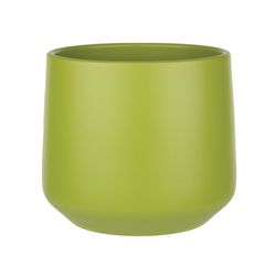 Syndicate Sales 6.5 in. H X 6.5 in. W X 6.5 in. D X 6 in. D Ceramic Planter Bamboo