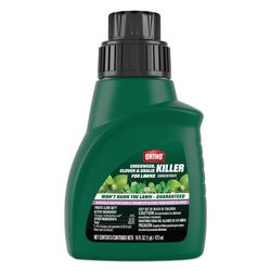 Ortho Chickweed, Clover & Oxalis Killer Concentrate 16 fl. oz.